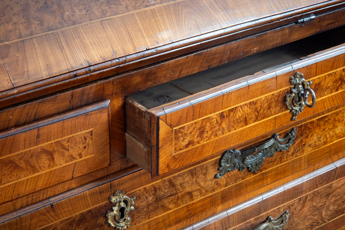 18th c, Rococo Alder Root Secretary Cabinet